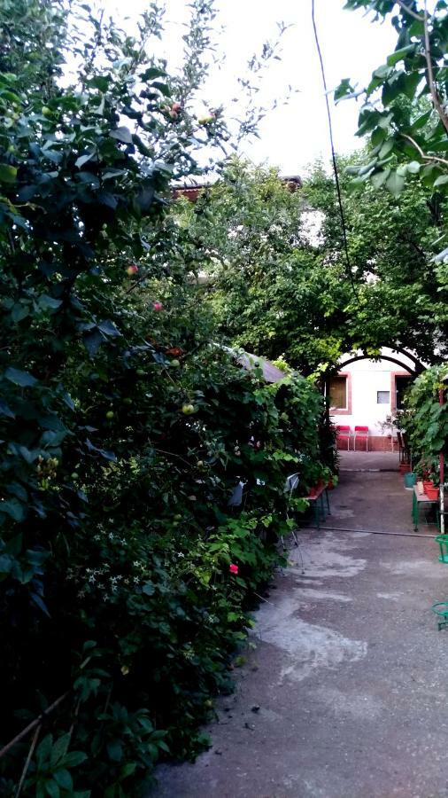 Casa Din Gradina Villa Dél-Eforie Kültér fotó