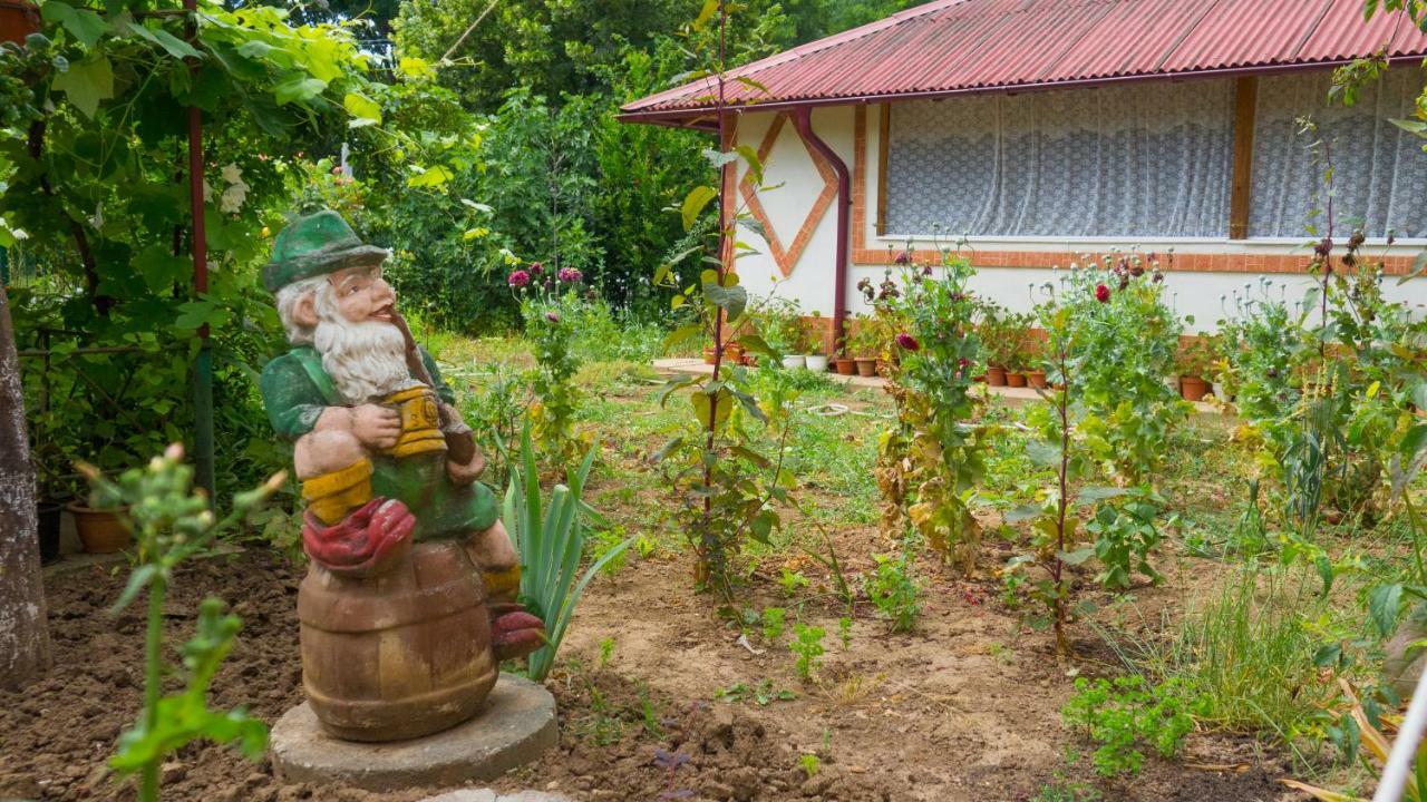 Casa Din Gradina Villa Dél-Eforie Kültér fotó