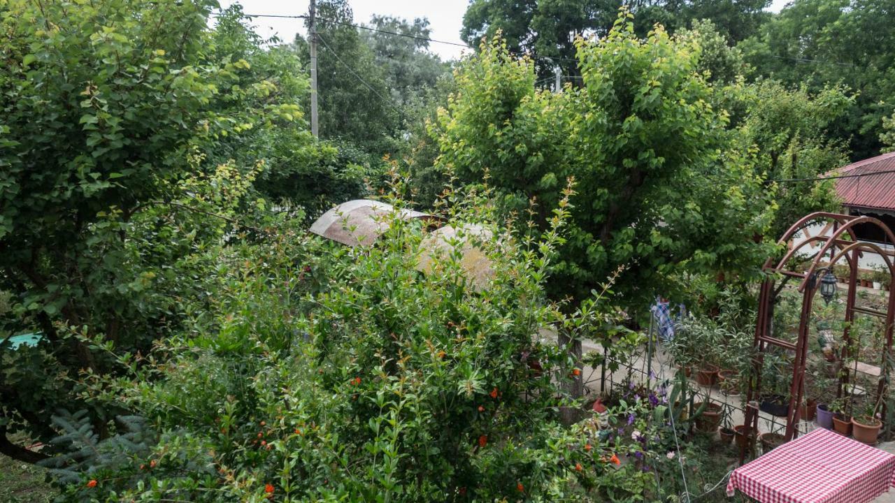 Casa Din Gradina Villa Dél-Eforie Kültér fotó