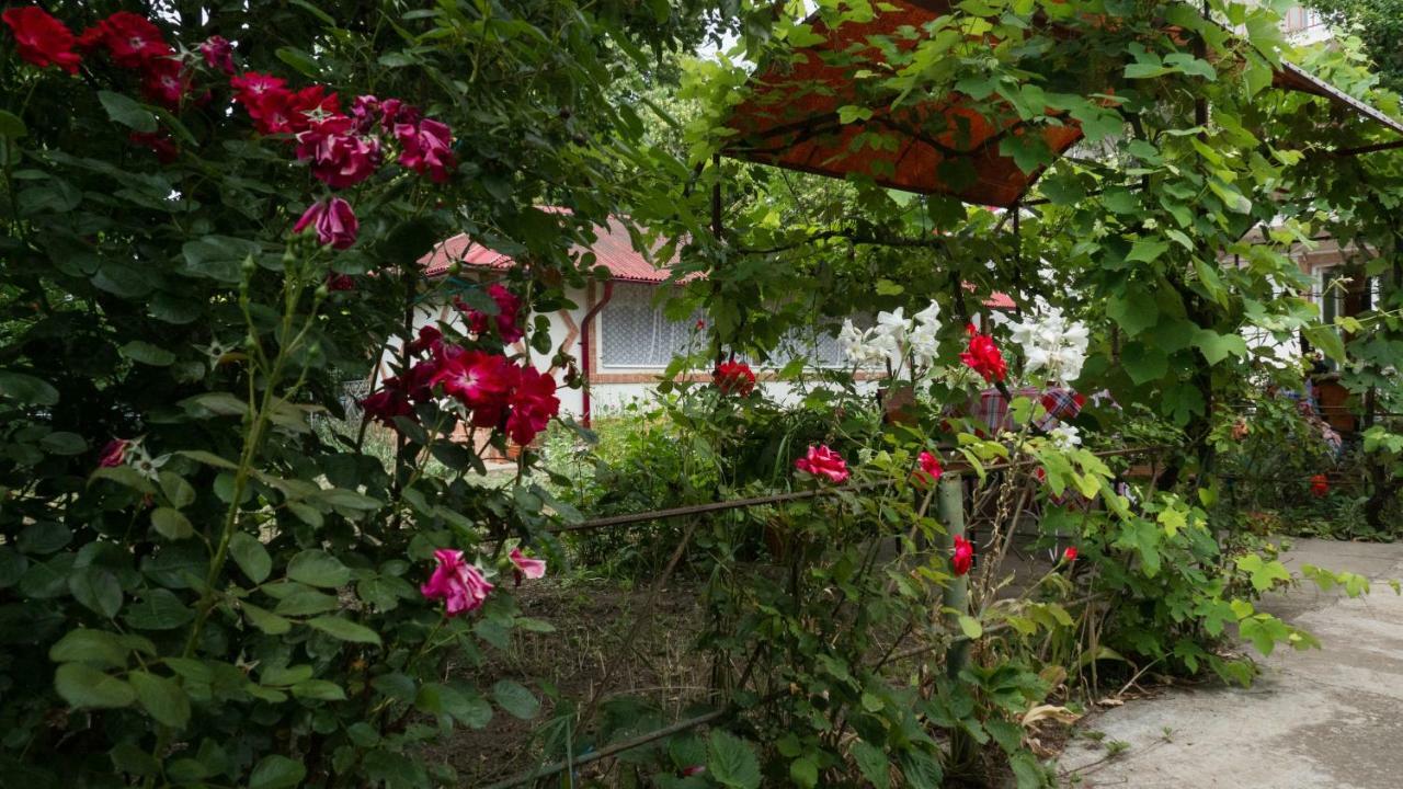 Casa Din Gradina Villa Dél-Eforie Kültér fotó
